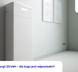 Magazyn energii 20 kWh – dla kogo jest odpowiedni?