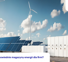 Jakie są odpowiednie magazyny energii dla firm?